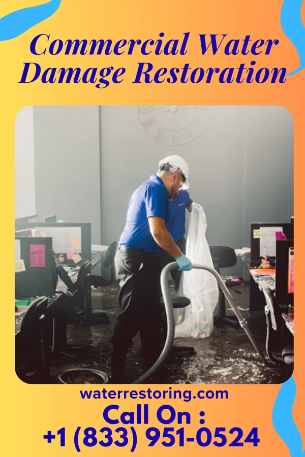 Commercial Water Damage Restoration in Blooming Prairie, MN