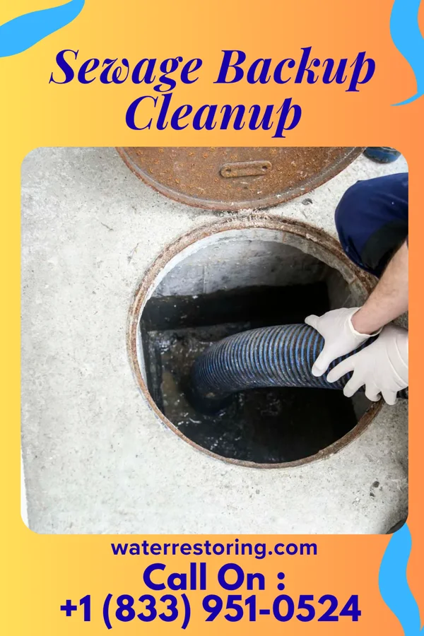 Sewage Backup Cleanup in Blooming Prairie, MN